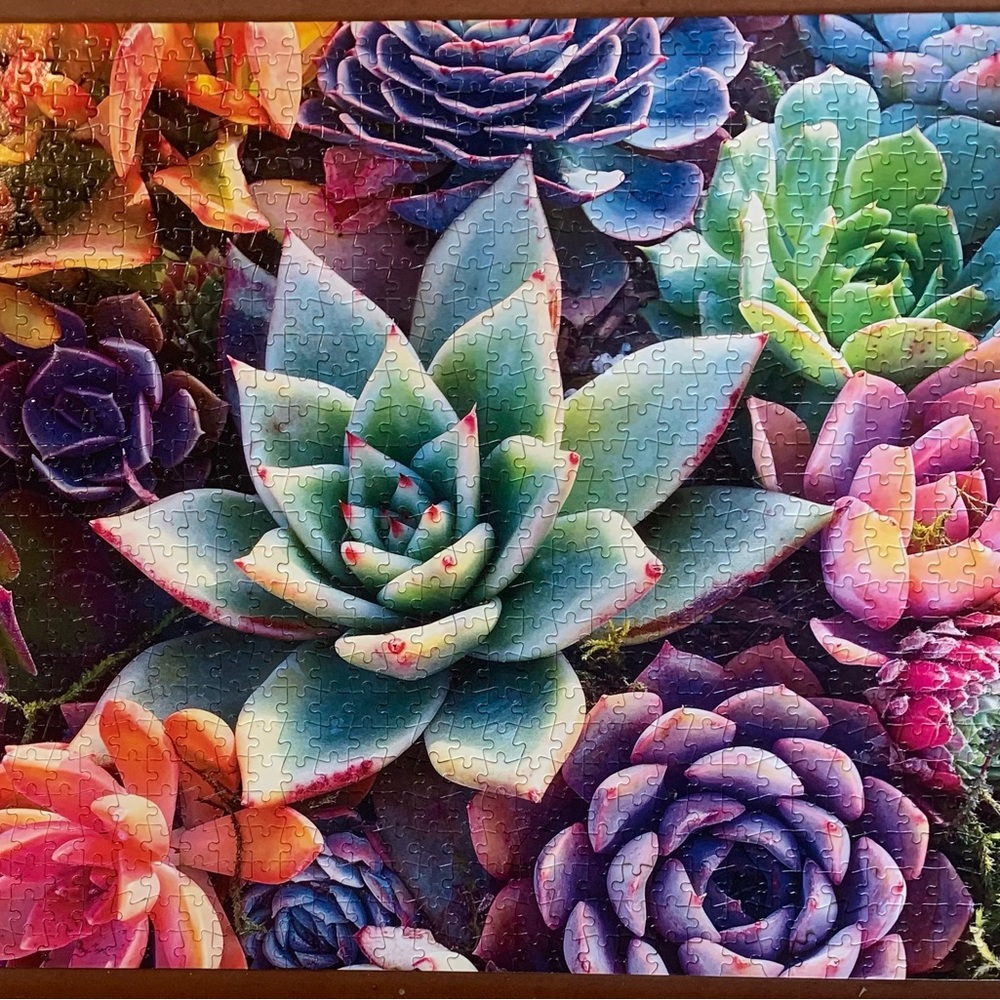 1000 piece puzzle